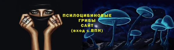 соль ск Алексеевка